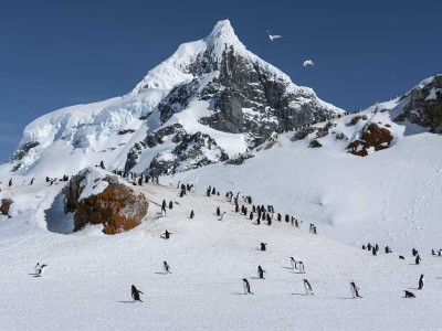 Hurtigruten Zuidpool expeditie Antarctica met BBI Travel