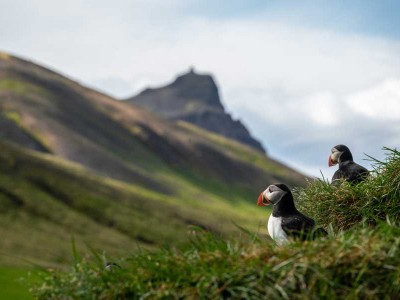 Hurtigruten expeditie IJsland met BBI Travel