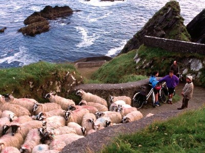 Dingle Dunquin autorondreis Ierland vakantiewoningen
